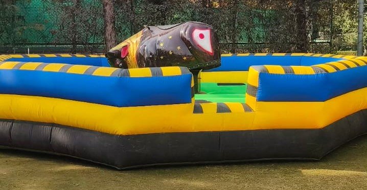 Bull Ride On Rent