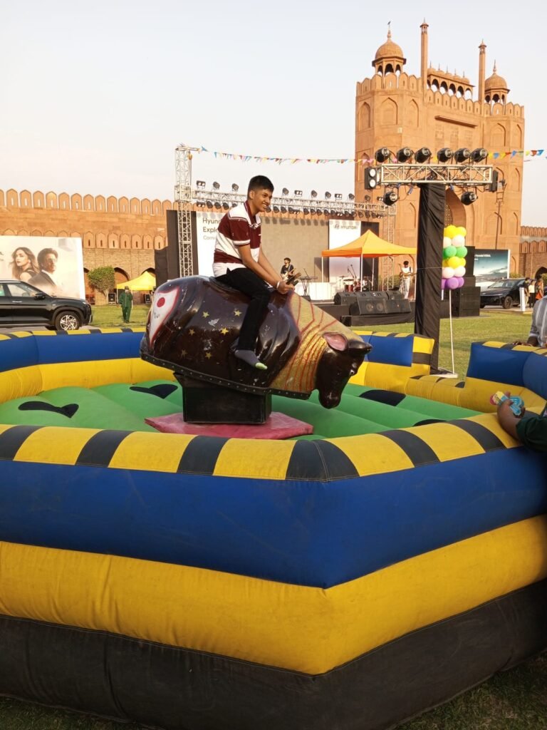 Mechanical Bull Ride
