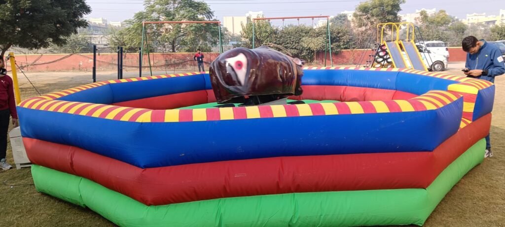 Mechanical Bull Ride