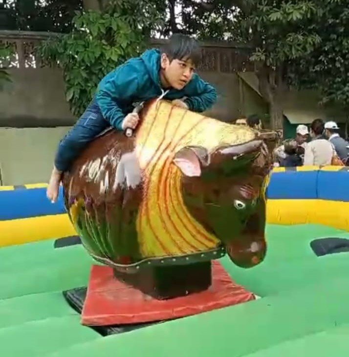Electronic Bull Ride on rent