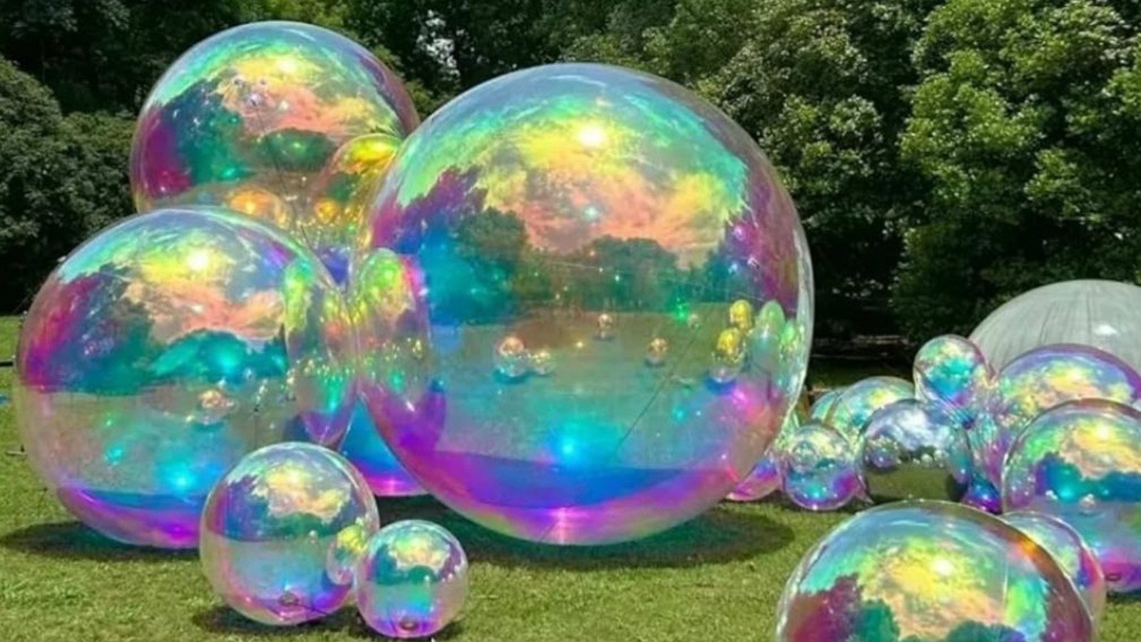 best bubble show in Dehradun